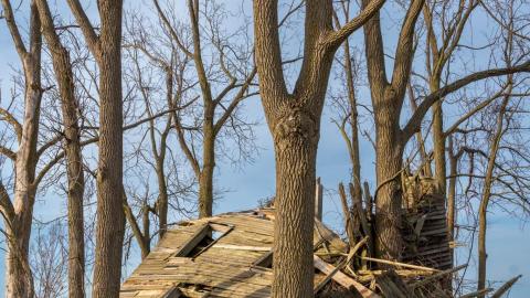 Nature Always Wins - abandoned house reclaimed by nature-19.jpg
