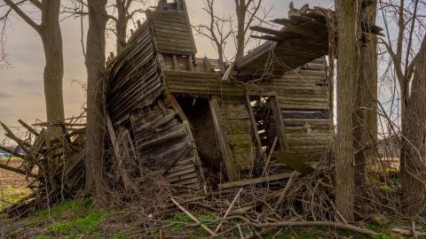 Nature Always Wins - abandoned house reclaimed by nature-22.jpg