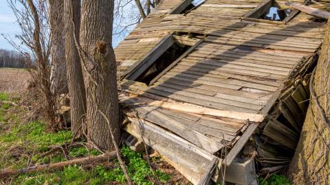Nature Always Wins - abandoned house reclaimed by nature-21.jpg