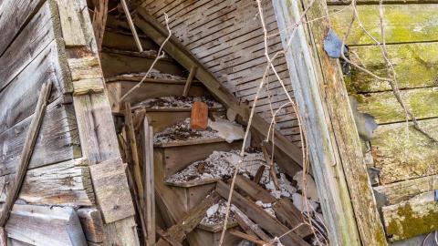 Nature Always Wins - abandoned house reclaimed by nature-24.jpg