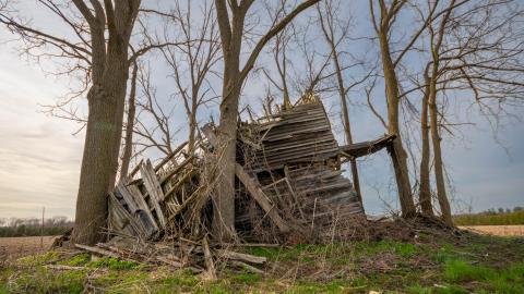 Nature Always Wins - abandoned house reclaimed by nature-27.jpg