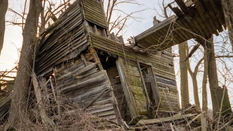 Nature Always Wins - abandoned house reclaimed by nature-28.jpg