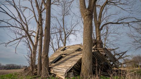 Nature Always Wins - abandoned house reclaimed by nature-29.jpg