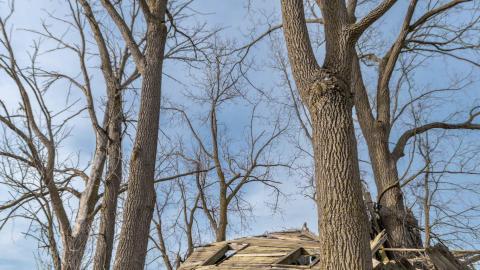 Nature Always Wins - abandoned house reclaimed by nature-30.jpg