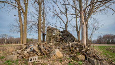 Nature Always Wins - abandoned house reclaimed by nature-31.jpg