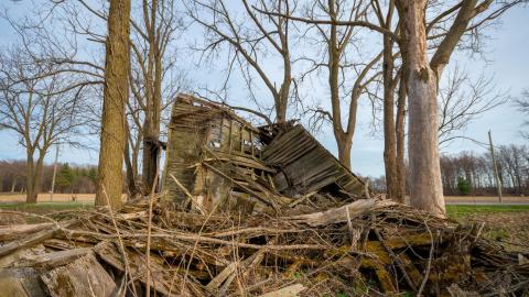 Nature Always Wins - abandoned house reclaimed by nature-32.jpg