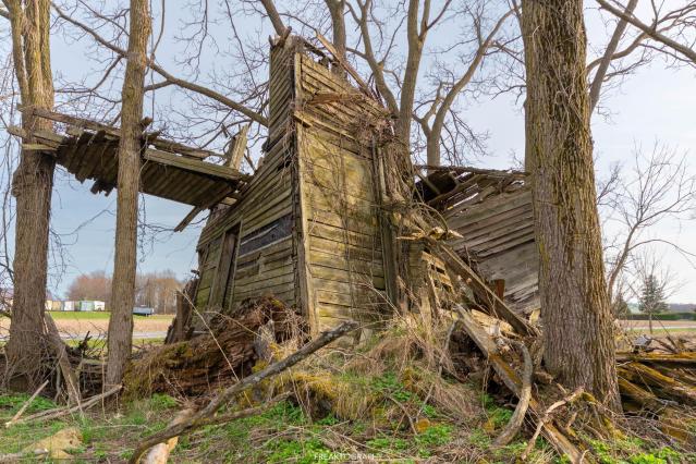Nature Taking Over - Norfolk County, Ontario