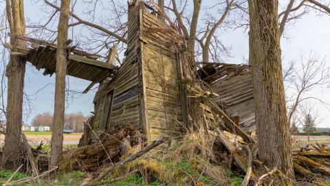 Photo from Nature Always Wins