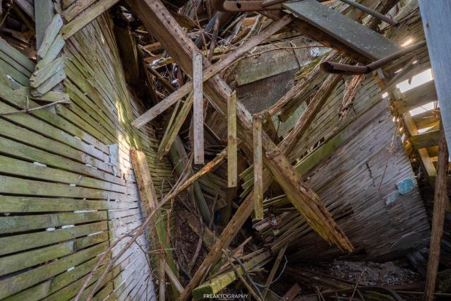 Nature Taking Over photo 2