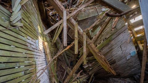 Photo from Nature Always Wins