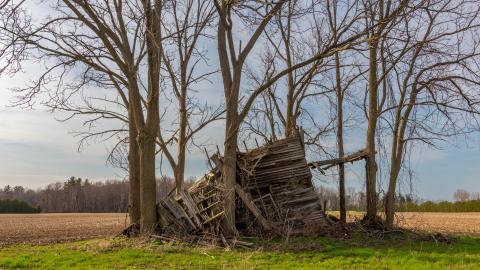 Photo from Nature Always Wins