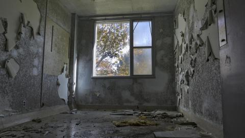 November '21 - Moldy_02.jpg