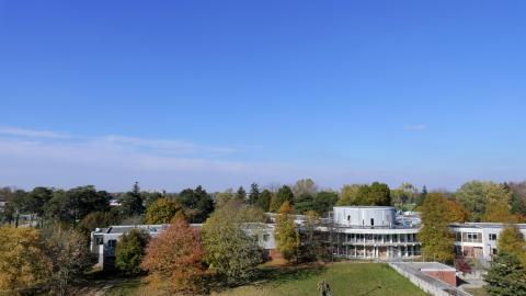 November '21 - FallenLeaves02.jpg