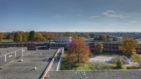 November '21 - FallenLeavesII_03.jpg