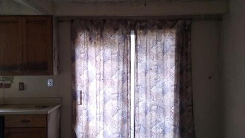 The Moldy Mechanic photo 3