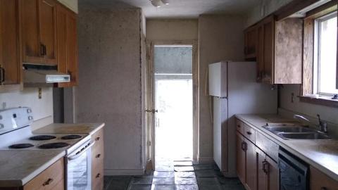 The Moldy Mechanic photo 5