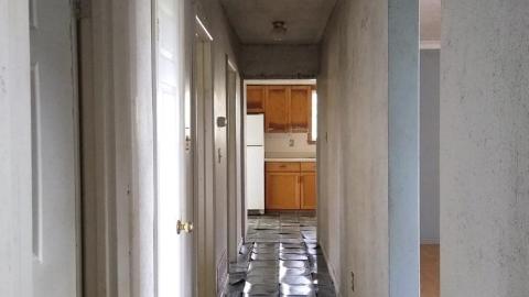 The Moldy Mechanic - The Moldy Mechanic (8).jpg