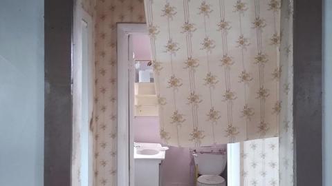 Damn Kids - Throwiing Bottles (9).jpg