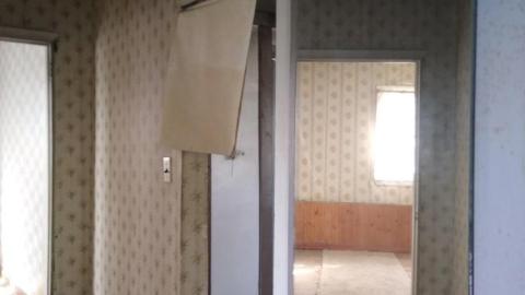 Damn Kids - Throwiing Bottles (11).jpg