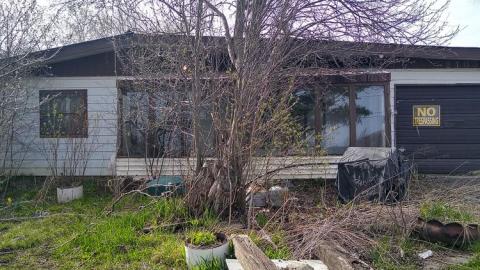 Damn Kids - Throwiing Bottles (16).jpg