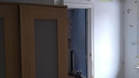 Quick Photos - The Bird House (11).jpg