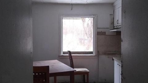 Quick Photos - The Bird House (13).jpg