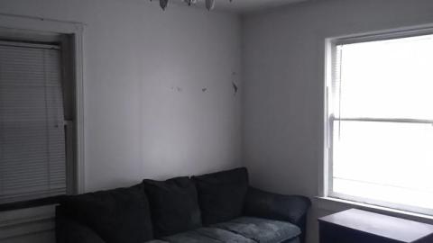 Quick Photos - The Bird House (15).jpg