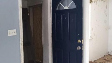 Quick Photos - The Bird House (2).jpg