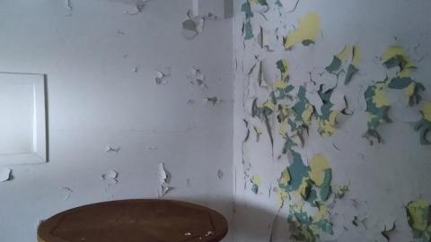 Photo from January 2022