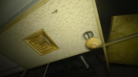 The Cum Closet - _DSC1426.JPG