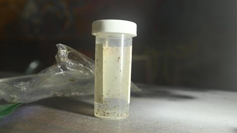 The Cum Closet - _DSC1458.JPG