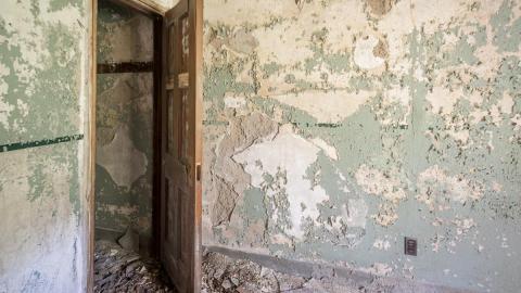 Photo from Fall 2018