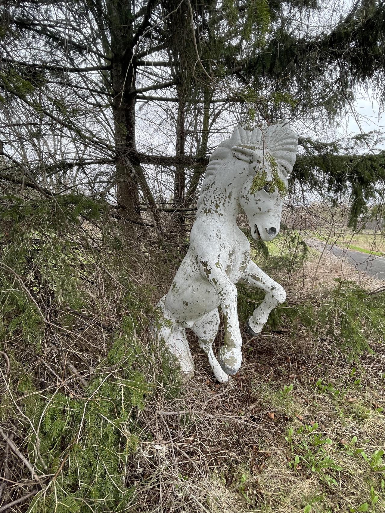 Abandoned mansion with tennis court - 8FD80EBF-3DF1-4A4B-8AC0-A22AE664FB44.jpeg