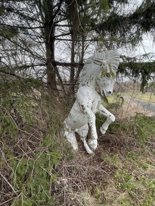 Abandoned mansion with tennis court - 8FD80EBF-3DF1-4A4B-8AC0-A22AE664FB44.jpeg