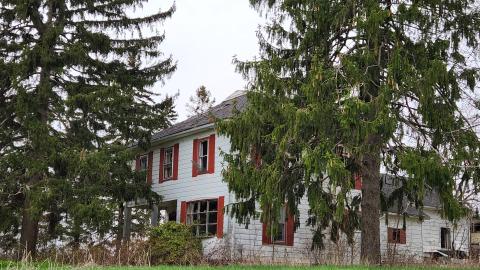 May 5 2022 - 20220505_163150.jpg