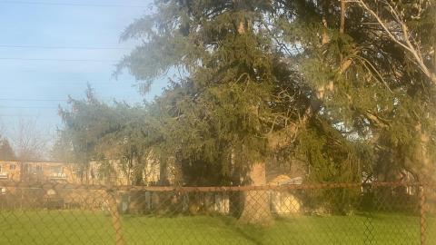 Gore Cemetery - 5B41C507-4F82-4072-829F-64927B660417.jpeg