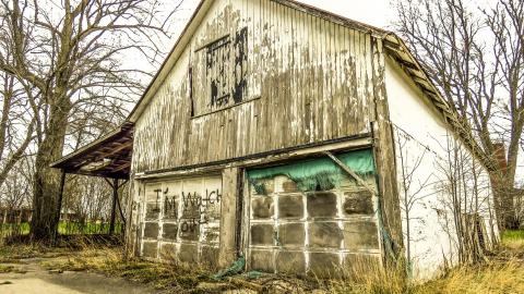 Otonabee 3-Storey Farmhouse photo 5