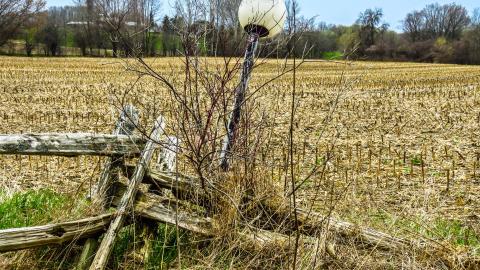 The Bike Thief - IMG_1878-2.jpg