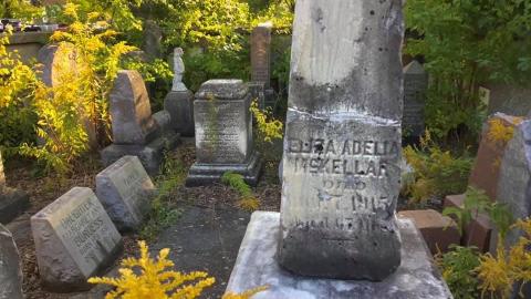 ‘20-22’ - 3D25F55B-2BFC-4CF0-920B-61465F73054B.jpeg