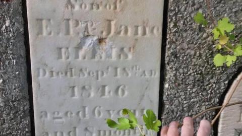 ‘20-22’ - 214FF943-59BA-47C8-9A81-73BAB9E63FA9.jpeg