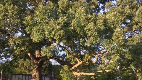 ‘20-22’ - CF508E99-6D71-4037-ADBD-AF72D3F35463.jpeg