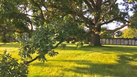 ‘20-22’ - 6C7C631C-66C1-4987-8456-3D244009F24C.jpeg