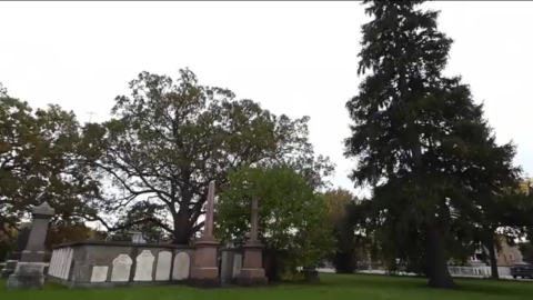 ‘20-22’ - 0C23A910-B422-4B0E-BFFF-01CE18A5F7A6.png