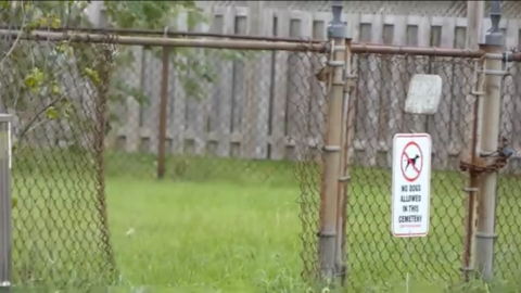 ‘20-22’ - CF5BE548-0A1C-482B-B125-8A6A11B8E2CD.png