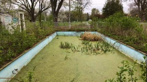 Fitness hub shell - received_392290009465352.jpeg