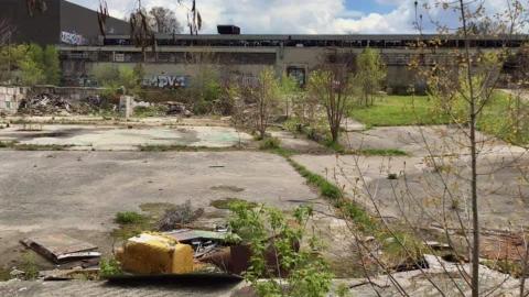 excellolent - FB_IMG_1651974215496.jpg