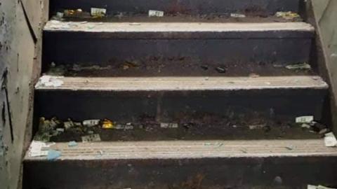 excellolent - FB_IMG_1651974335641.jpg