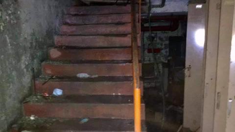 excellolent - FB_IMG_1651974405169.jpg