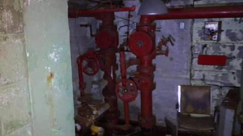 excellolent - FB_IMG_1651974410309.jpg