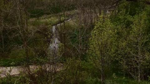 excellolent - FB_IMG_1651974430733.jpg